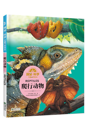爬行动物.jpg