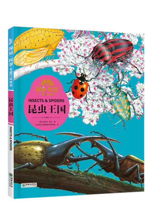昆虫王国.jpg